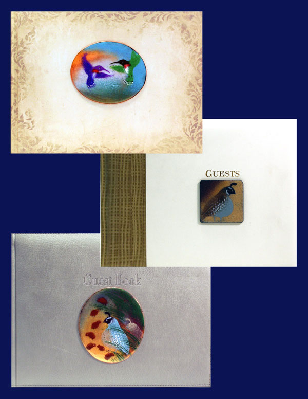 Enamelling on Steel - Guesbooks